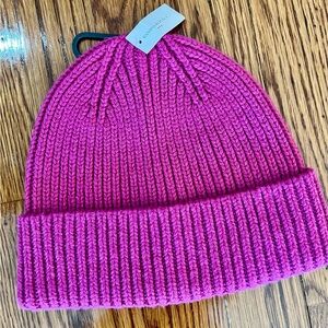 Banana Republic Pink Knit Beanie